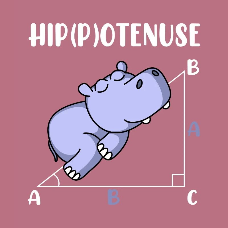 Hippotenuse fun math math