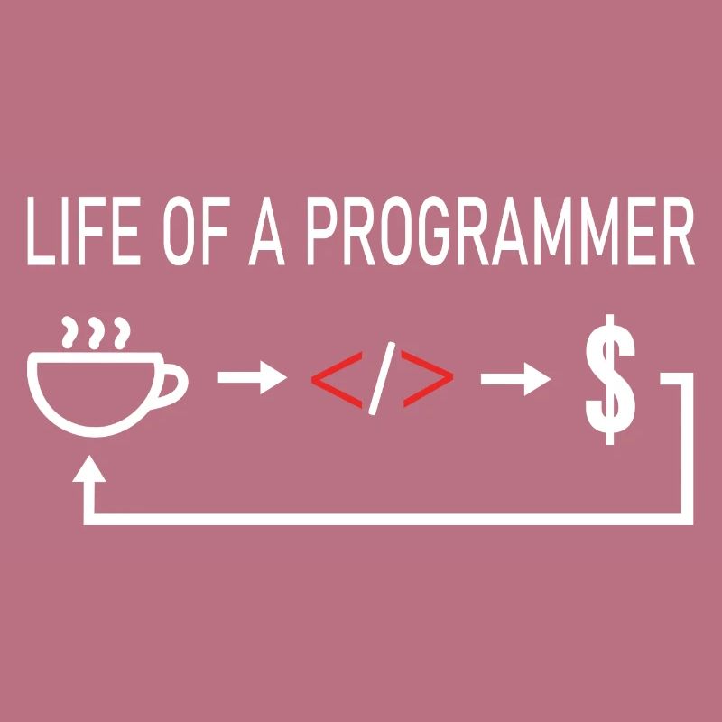 Informaticien La vie d'un programmeur codeur codage