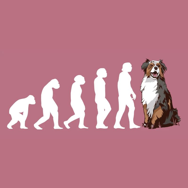Dog Evolution Aussie