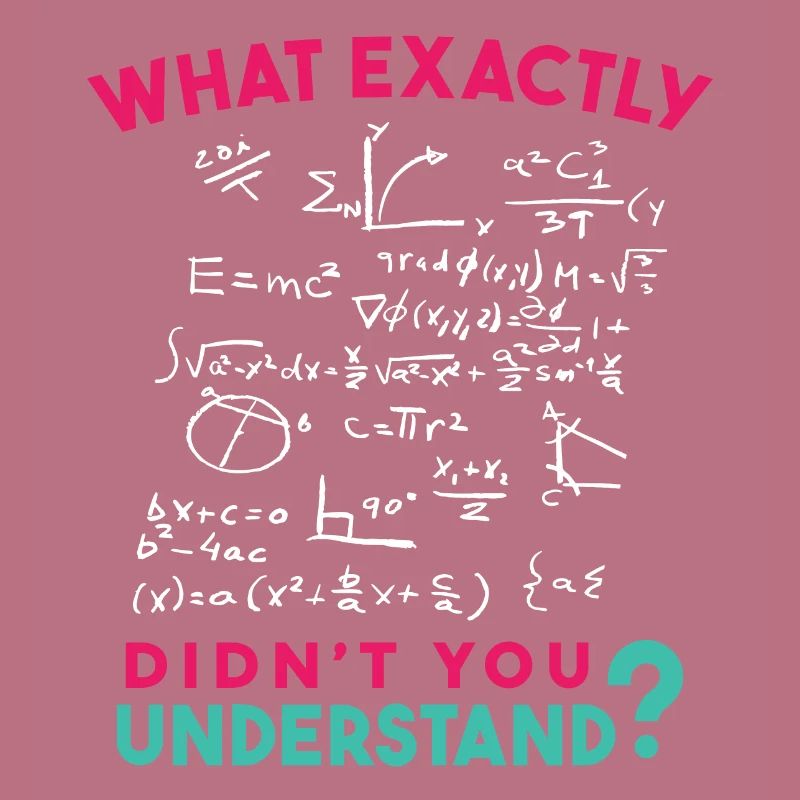 Physics Math Formula Joke