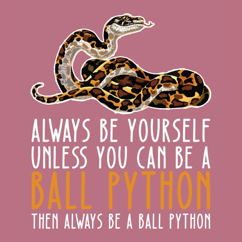 Soyez vous-même – King Python