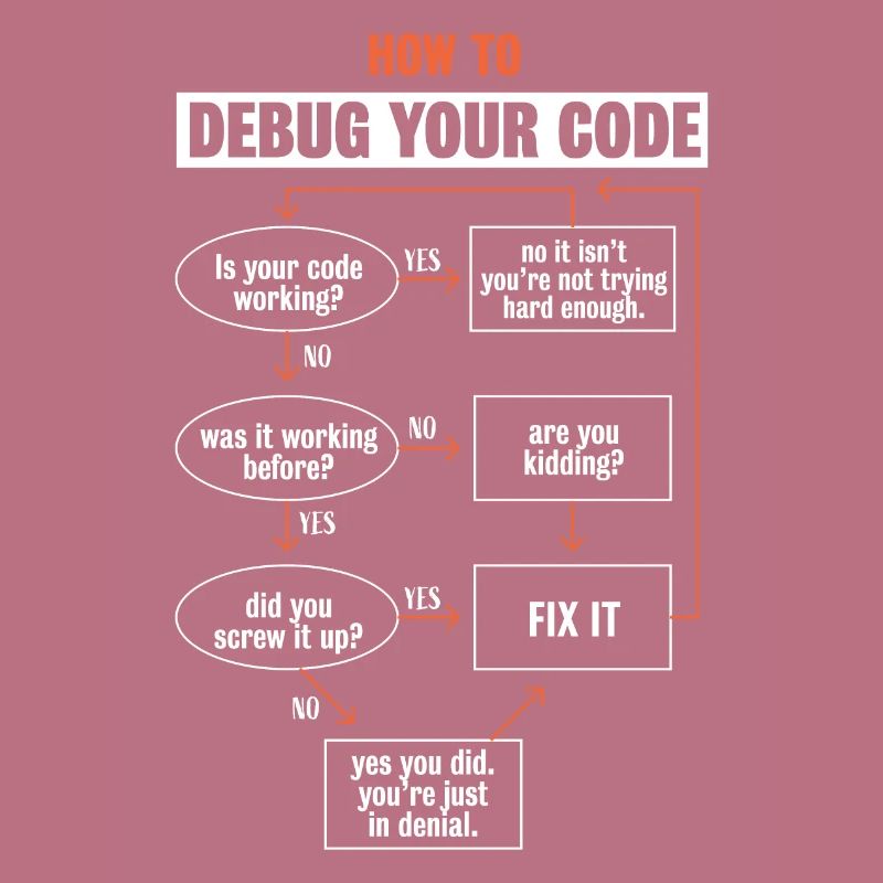 "Comment déboguer votre code" Funny Programmer Coding