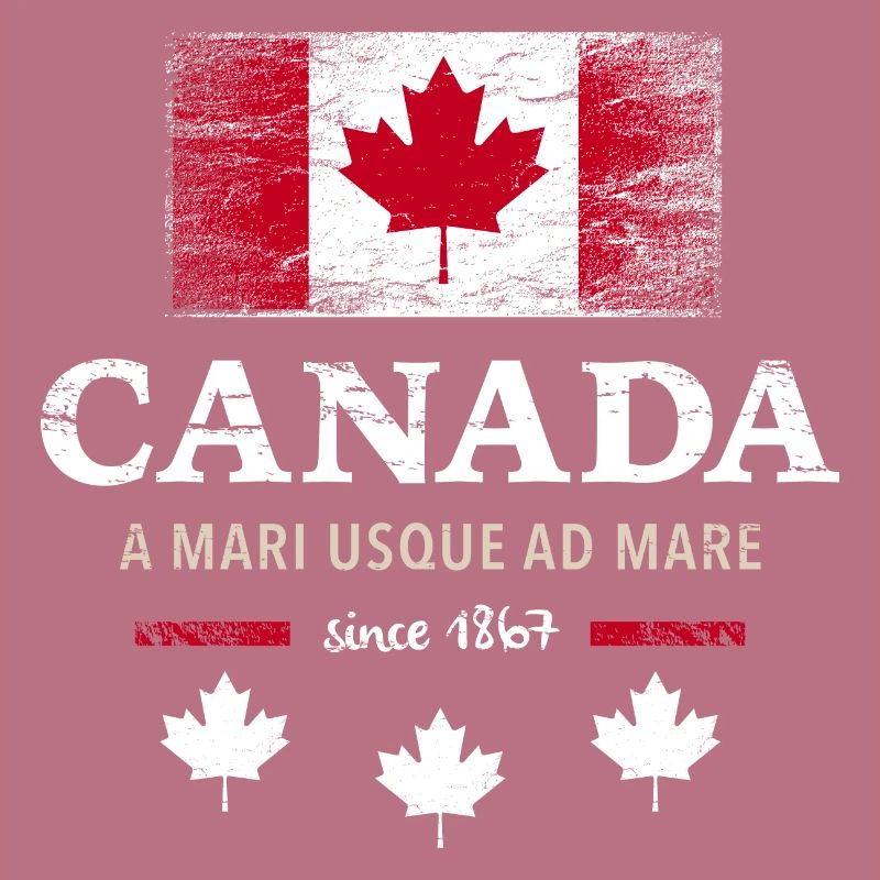 Canada Canada America maple leaf flag flag
