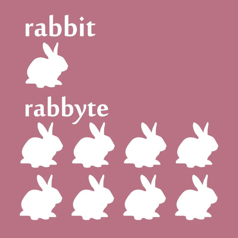 Programmierer Informatiker byte Rabbit Geschenk
