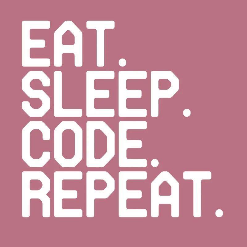 Programmer