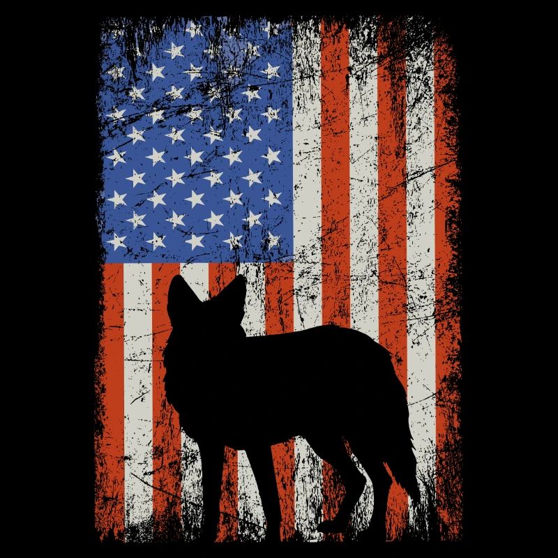 Conception de coyote pour les réacteurs de coyote