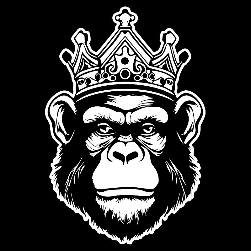 Monkey Monkey Monkey Face Jungle