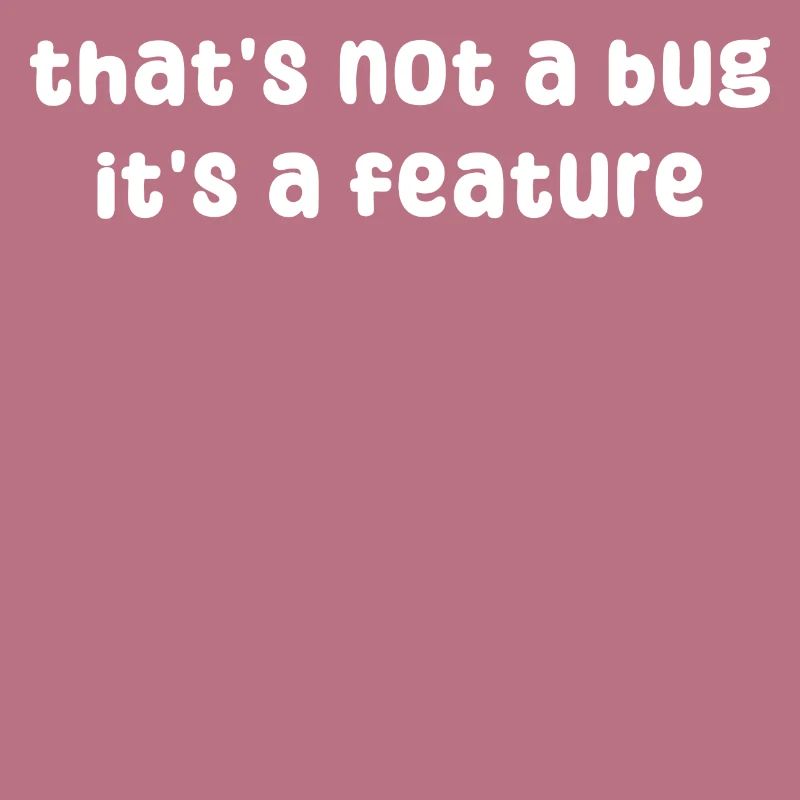 Déclaration de bugs Développeur Correction de bugs Debug Coden