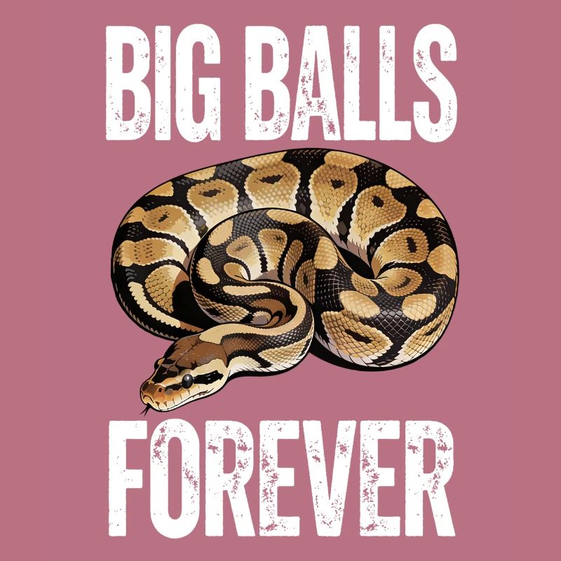 Python roi Serpents Amateurs de terrarium Python