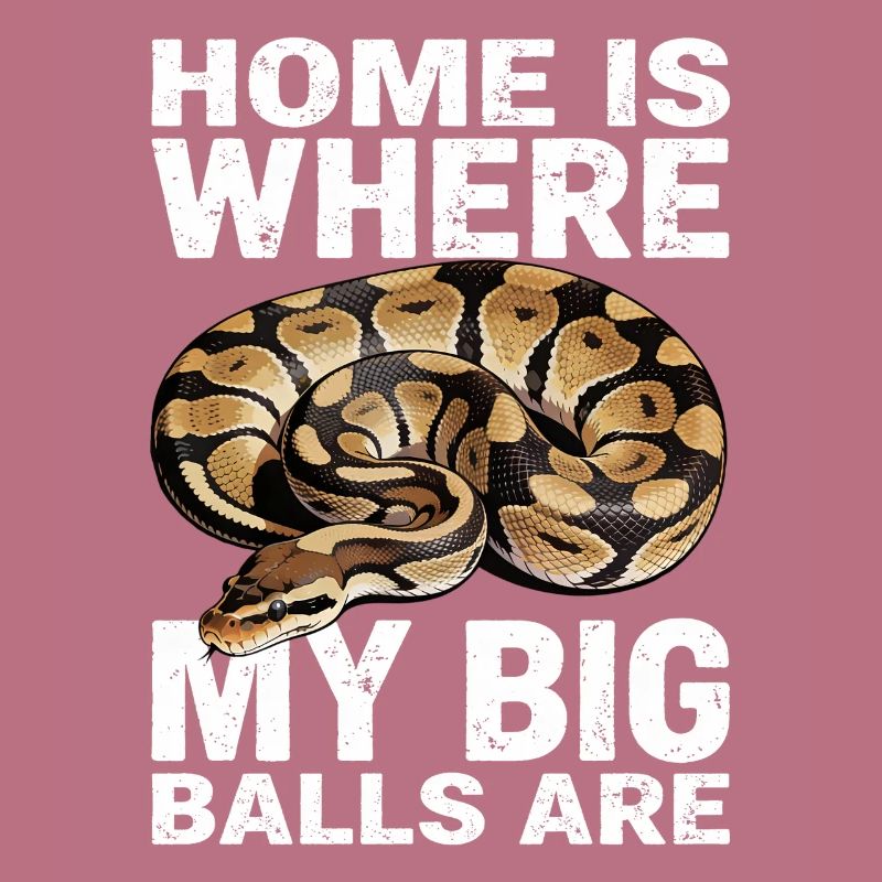 Python roi Serpents Amateurs de terrarium Python