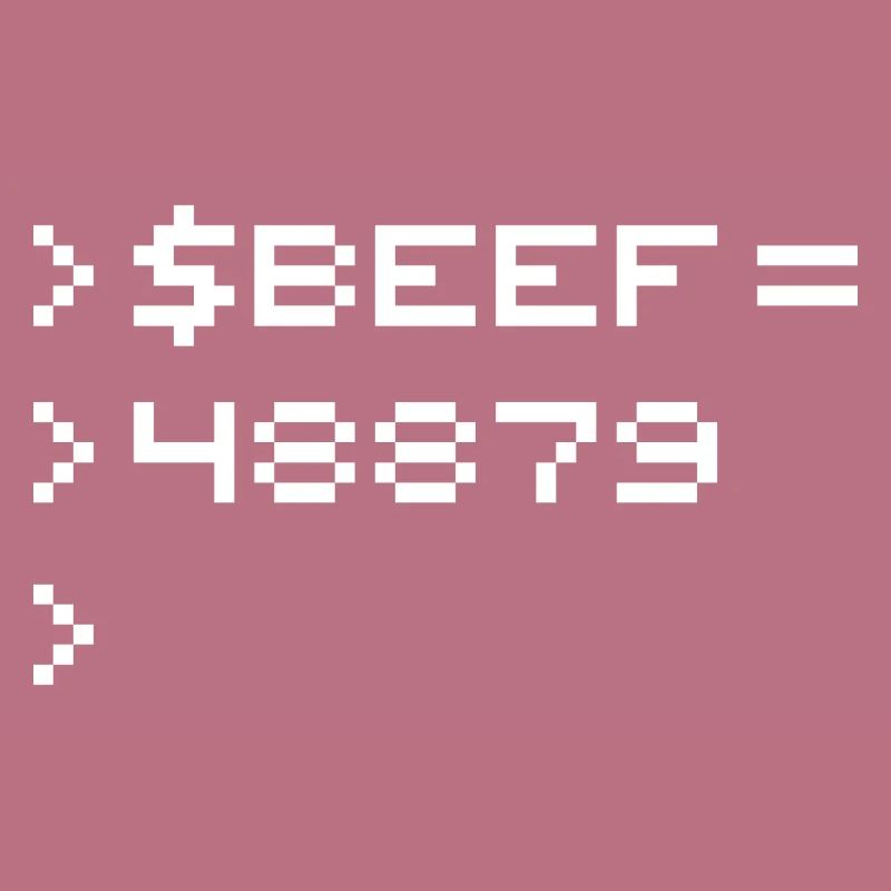 BEEF 8-Bit Code Nerd Pixel Terminal Retro