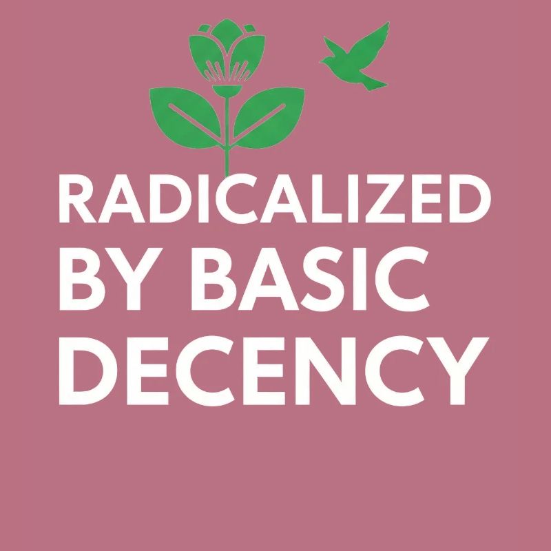 Radicalized By Basic Decency Statement shirt decal