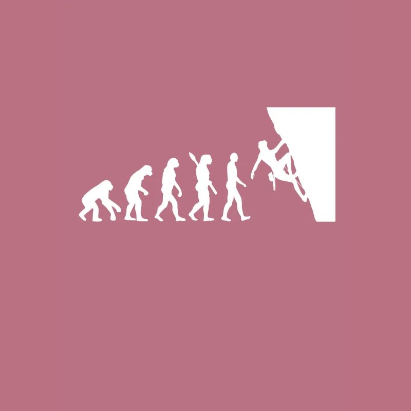 Evolution climber