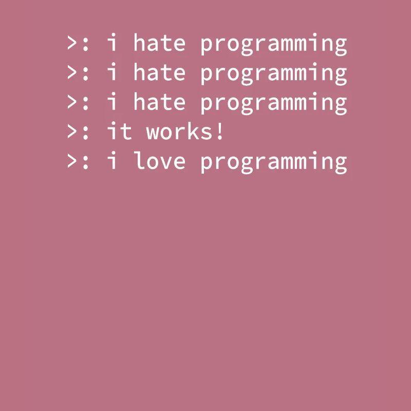 Programmer coden hate nerd geek funny gift