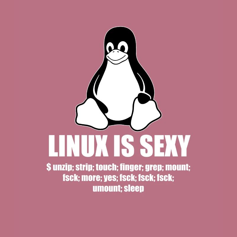 Linux Root SUDO Unix Shell Sexy funny gift