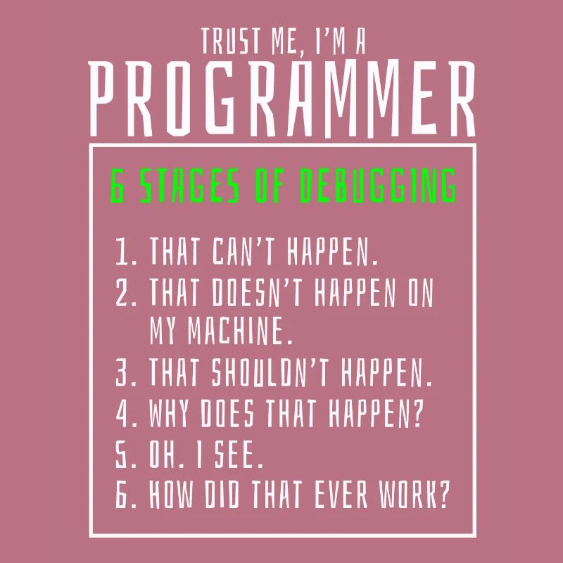 Debugging stages computer programmer