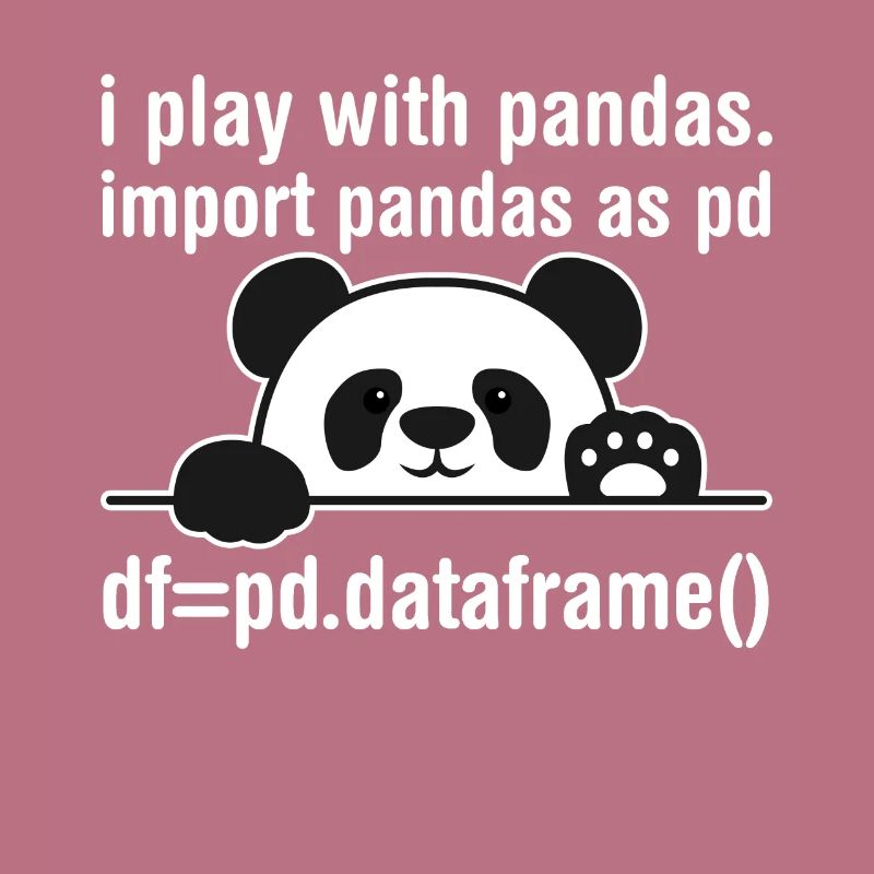 Programmeur Python Programmation panda nerd informatique