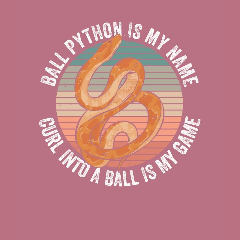 Königspython Bananenkugel Python