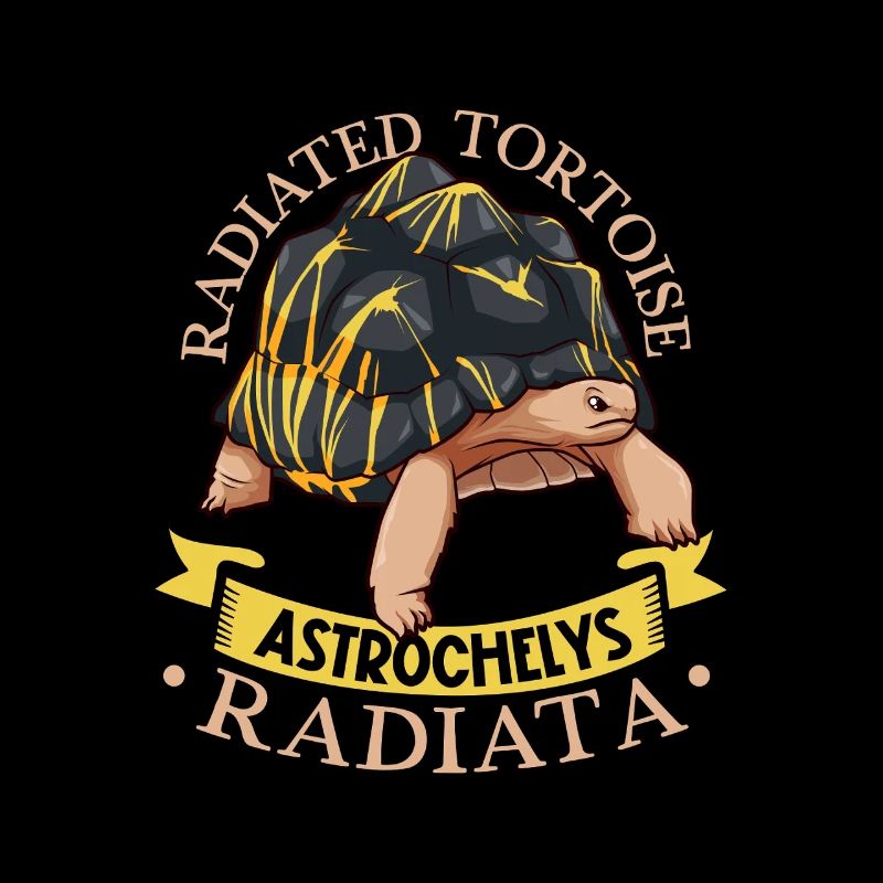 Radiated tortoise