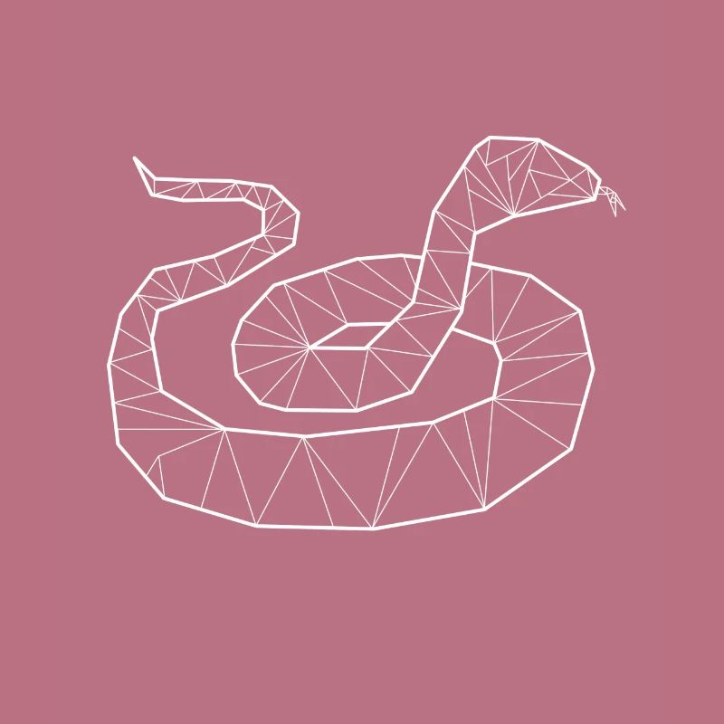 Python géométrique