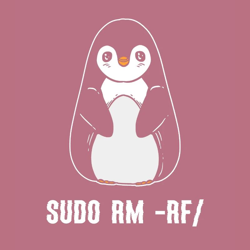 sudo rm rf / Programmeur informatique Linux