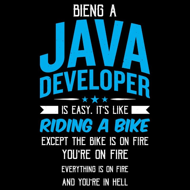 Java Developer