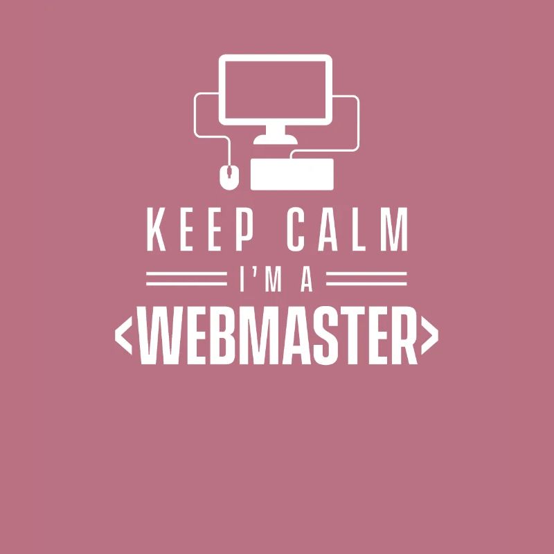 Web Master Developer Webmaster Website Team