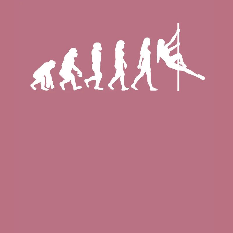 Pole Dance Evolution Geschenk Stangentänzerin
