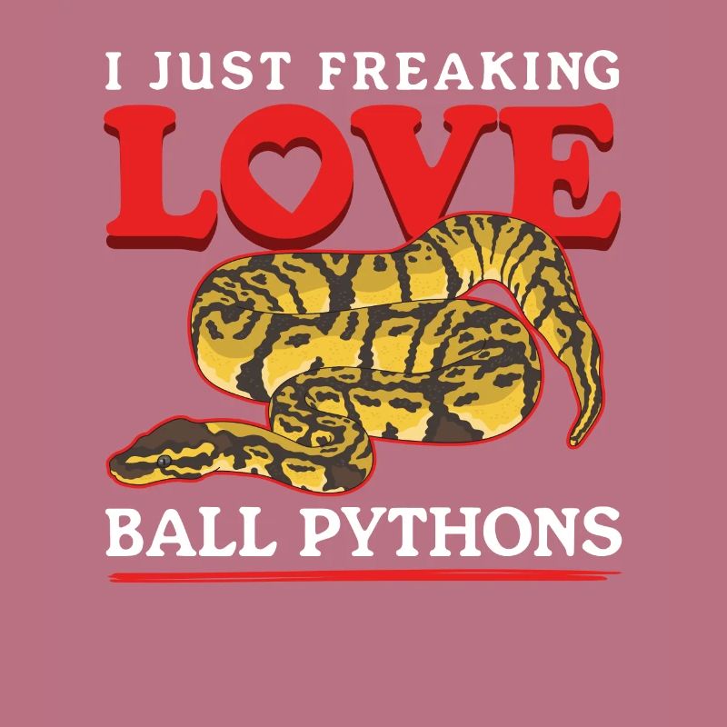 Königspython Schlangen Python Geschenke