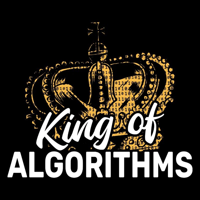 Software Ingenieur Informatiker Programmierer