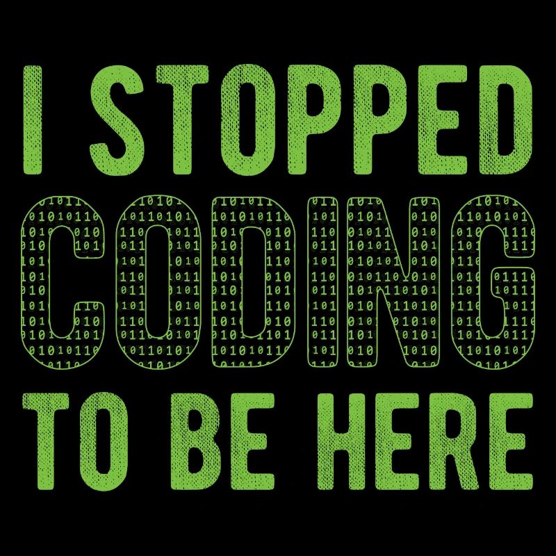 Software Ingenieur Informatiker Programmierer