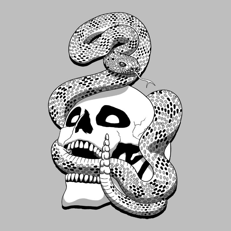 Serpent à sonnette et crâne
