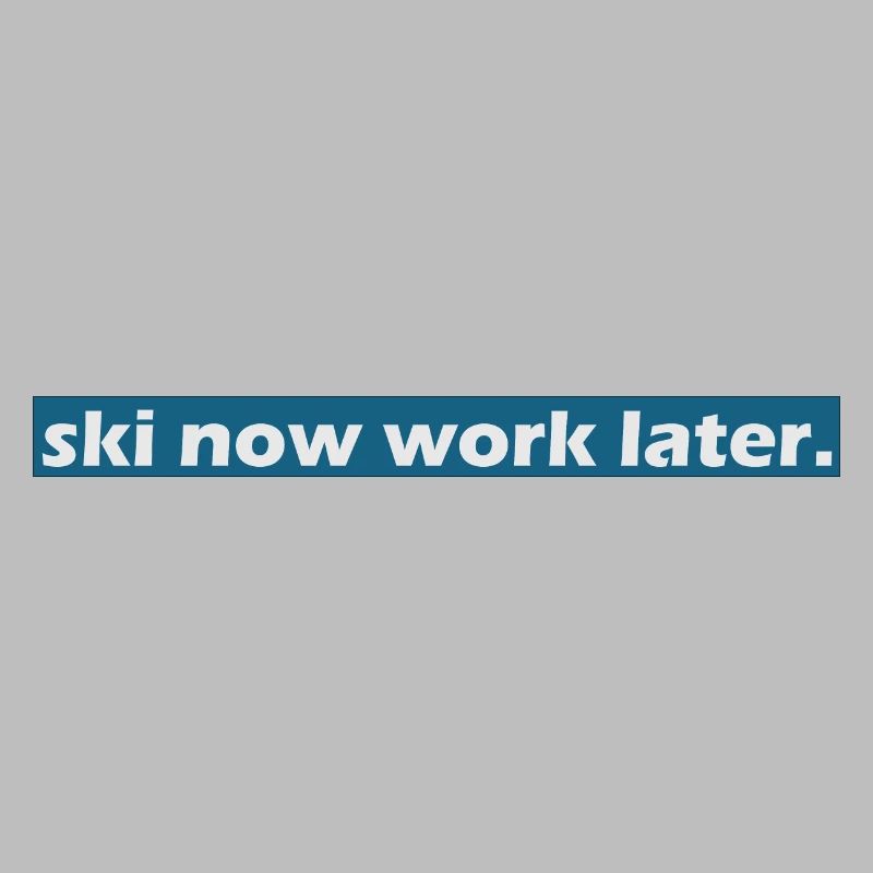 ski now