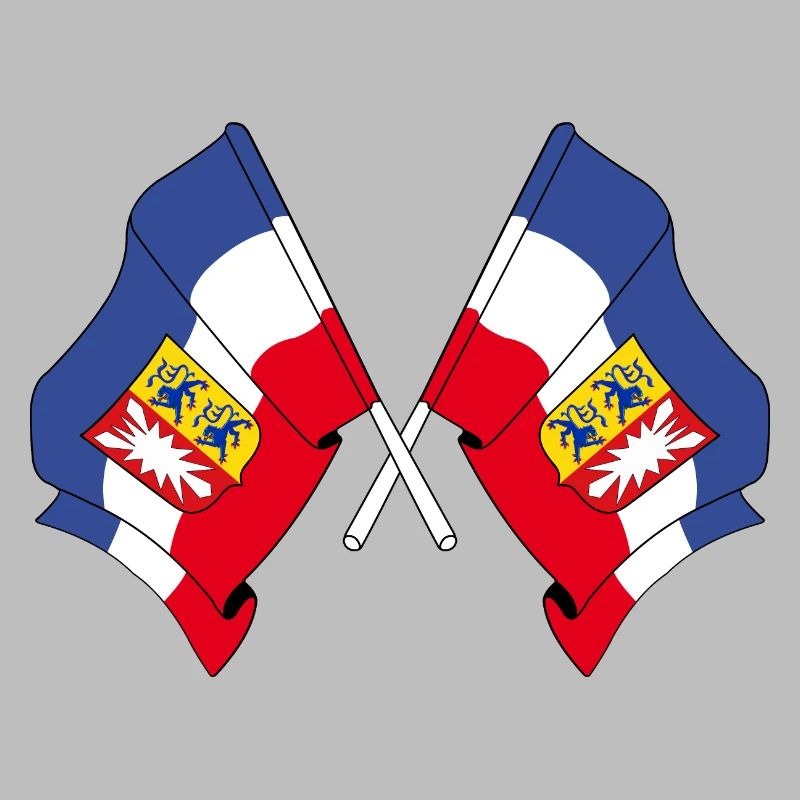 Deux drapeaux Schleswig Holstein