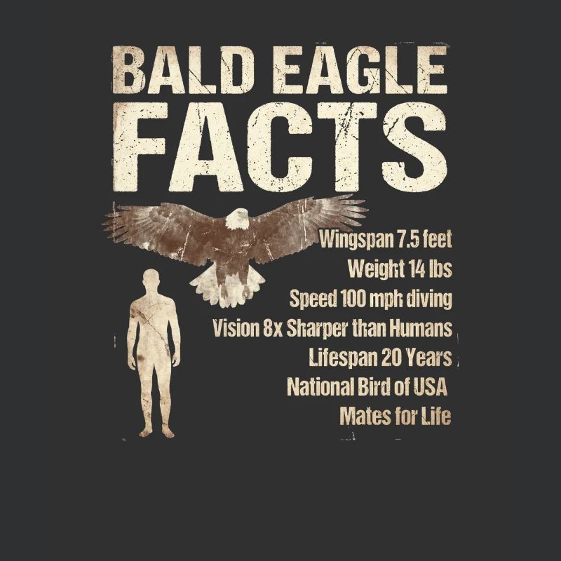 Bald Eagle Facts Bald Eagle Info