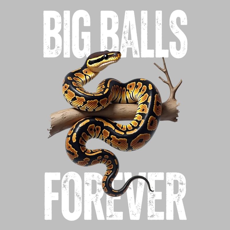 Python roi Serpents Amateurs de terrarium Python