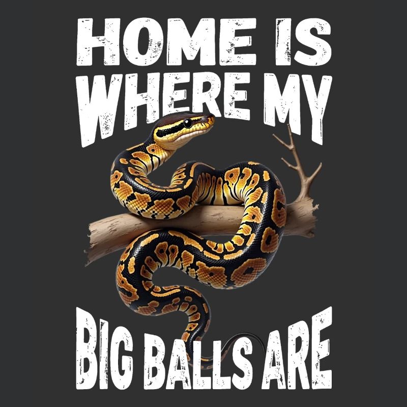 Python roi Serpents Amateurs de terrarium Python