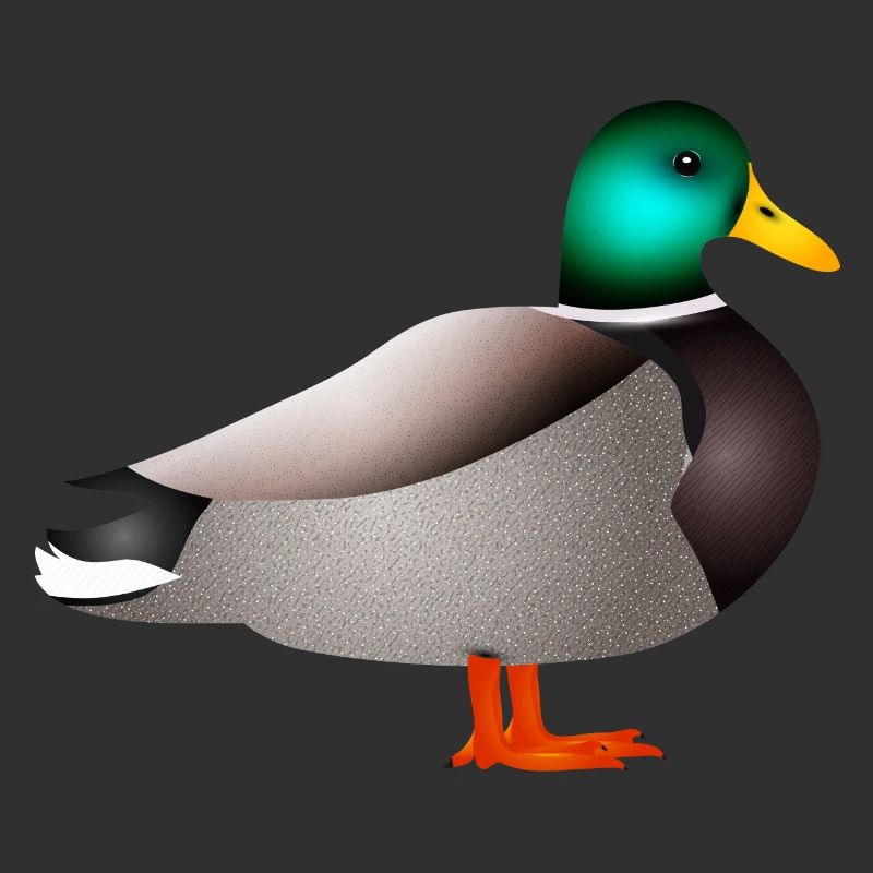 handgezeichnete männliche Ente Erpel oder Enterich