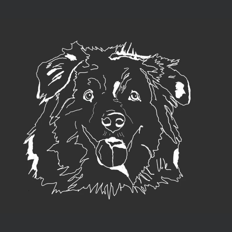 Australian Shepherd