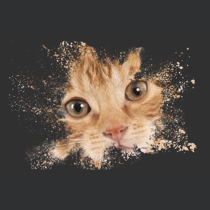 Chat orange avec éclaboussure d’aquarelle