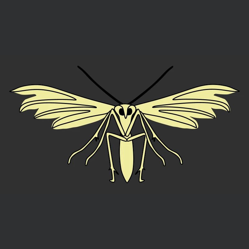 Feather moth