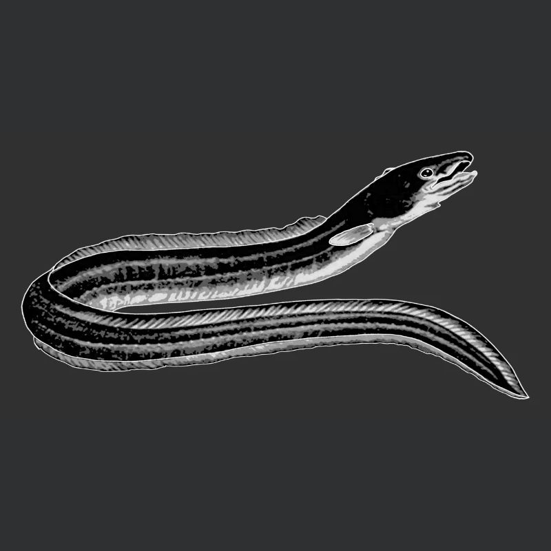 ca.