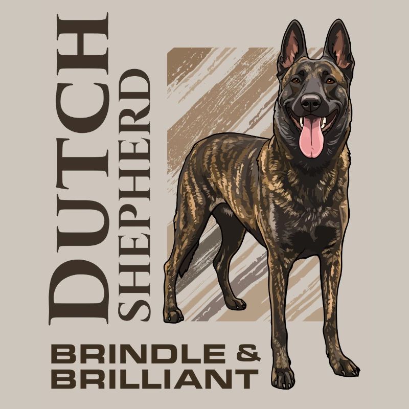 Dutch Shepherd – Dutchie