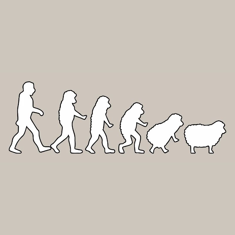 Evolution zum Schaf: Herdendenkweise