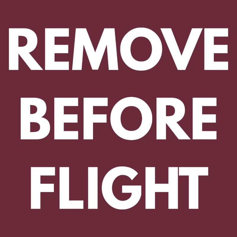 REMOVE BEFORE FLIGHT 