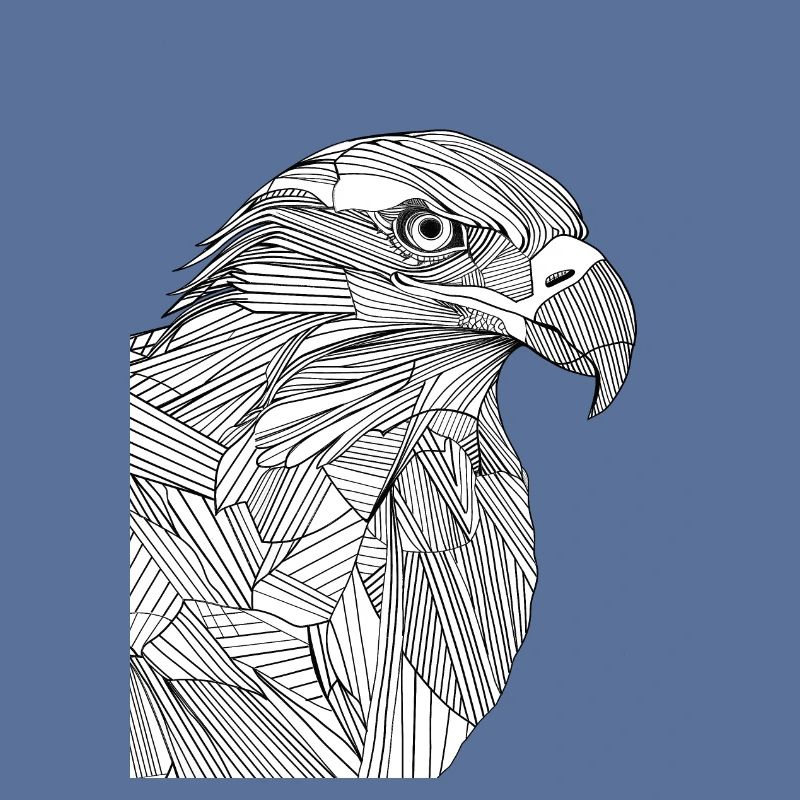 Lines art eagle #eagle