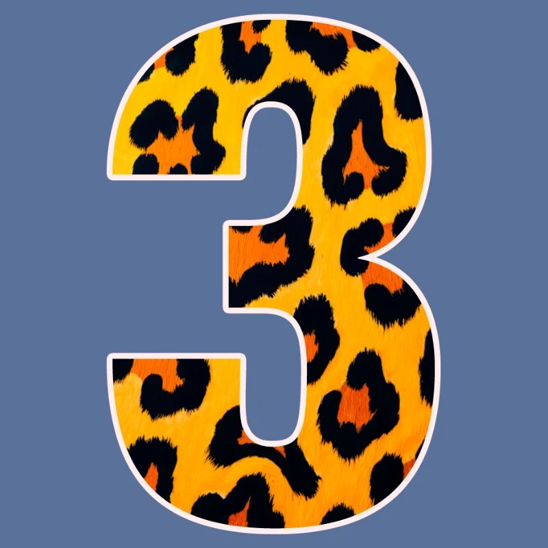 Leopard 3 Number Pattern