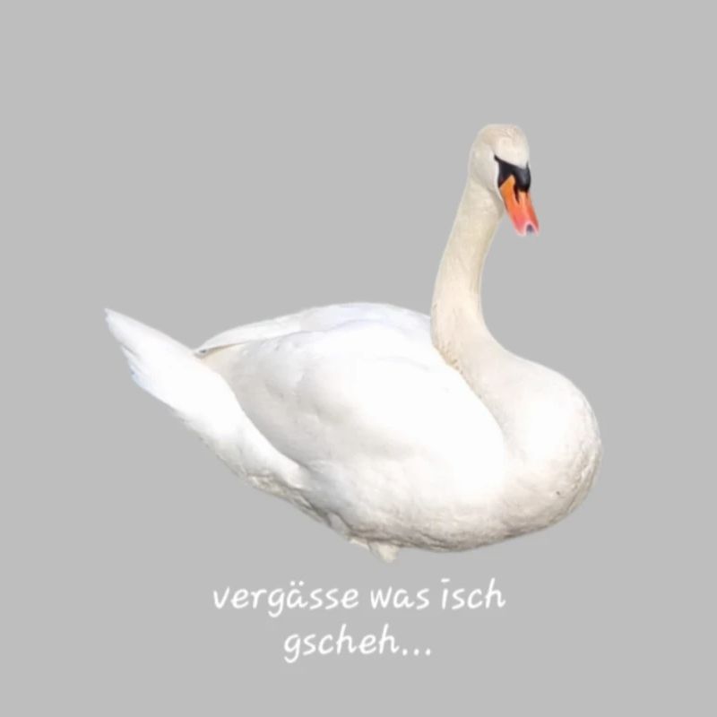 Vergässe was isch gscheh