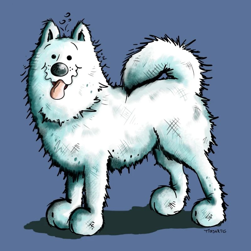 Sammy Samoyed - Samoyède