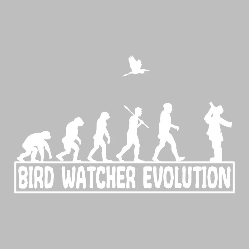 Ornithologie Oiseaux chanteurs observer évolution